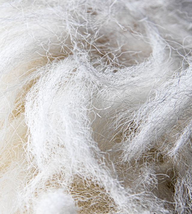 Why Fiber Length Matters in Cotton